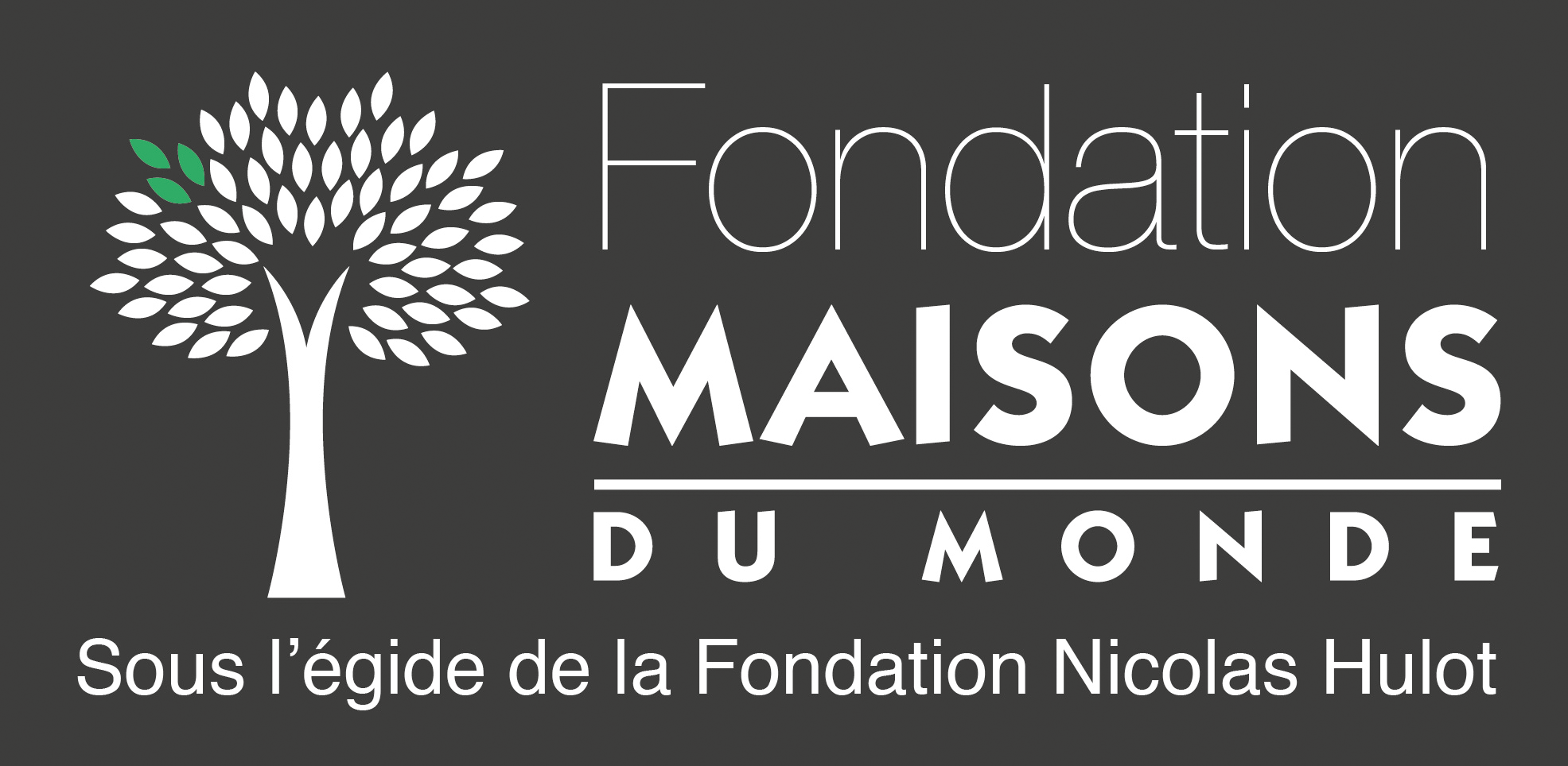 Fondation MDM